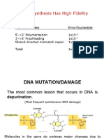 Lecture 4 DNA Repair&Mutation