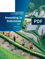 Investing in Indonesia