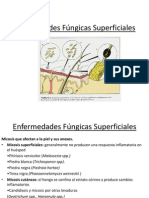 Enfermedades Micóticas Superficiales