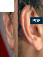 earreference.pdf