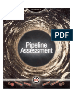 Pipeline Assessment brochure.pdf