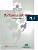 Sociologia Industrial