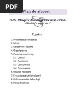 Plan de Afaceri Magic Beauty Centre PDF