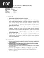 Download RPP 2013 Pertemuan 3-4 Flora Dan Fauna Indonesia Edit by Suryansyah S Ade SN178934754 doc pdf