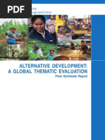 Alternative development - Global Evaluation