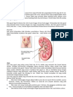 batu-ginjal.pdf