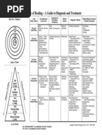 The 5 Levels of Healing - A Guide To Diagnosis and Treatment