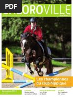 Download Chloroville 110 - novembre 2013 by CM Meudon SN178961467 doc pdf