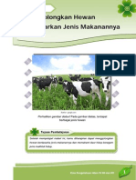 MATERI IPA Kelas IV SD Menggolongkan Hewan Berdasarkan Jenis Makanannya