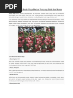 Download Cara Menanam Buah Naga Dalam Pot Yang Baik by finka_budi SN178981174 doc pdf
