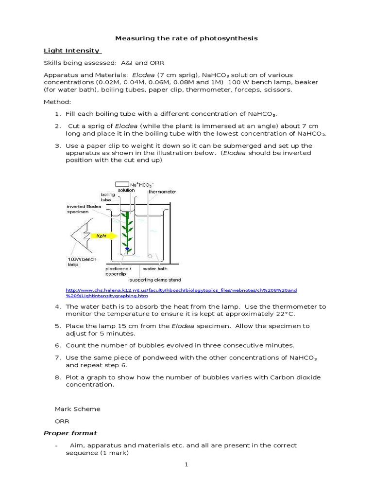 Measuring the rate of photosynthesis CO2.doc Photosynthesis