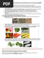 Download LOVE BIRD BAKALAN AMPUHdocx by Memancing Kerusuhan SN179024211 doc pdf