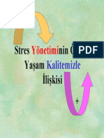 Stress Yönetiminin Önemi PDF