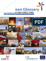 Eufofinet Fire Glossary