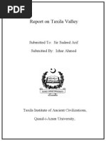 Download ASSIGNMENT on taxila visit doc by Izha s SN179053097 doc pdf