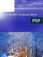 Nieve-Villalobos Cardenas Nervis