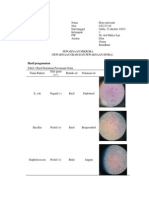 Laporan praktikum Mikrobiologi