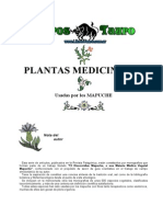 AUKANAW La Ciencia Mapuche 5 Plantas Medicinales