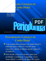 7002007 Cunha Distal Graduacao 2006