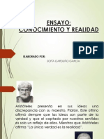 Diapositivas Ensayo