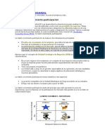 Participacion y Matriz de Crecimiento en El Mercado