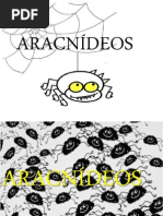 ARACNIDEOS