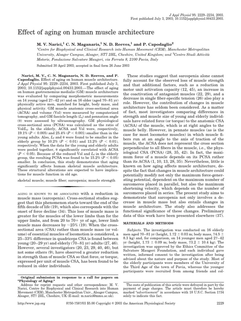 Effect of Aging On Human Muscle Architecture | PDF