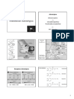 Adrenérgicos - Transmissão Adrenérgica