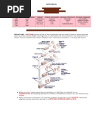Download networking basics by cooltba SN17909945 doc pdf