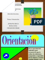 PSICOPATOLOGIA DE LA ORIENTACION