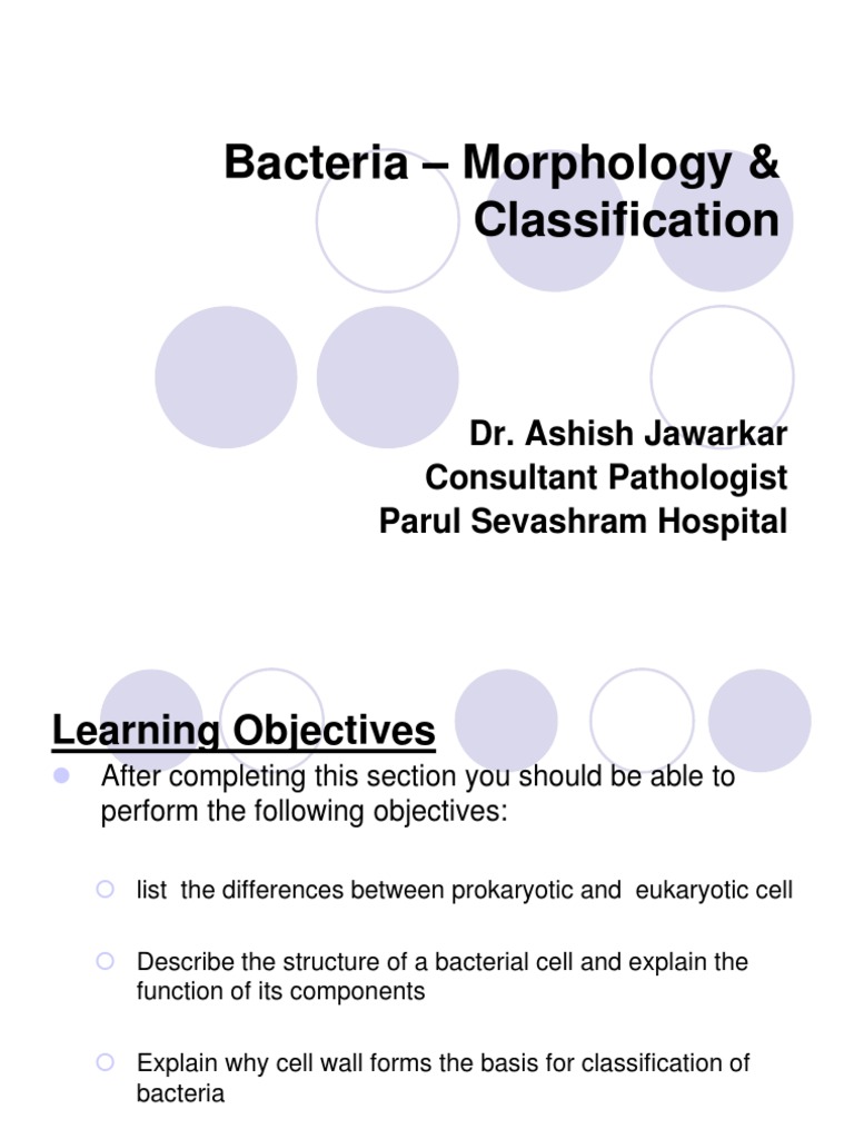 Bacterial Morphology and Classification | PDF | Cell (Biology) | Bacteria