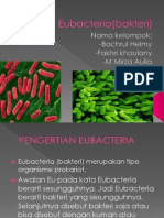 Eubacteria(bakteri).pptx