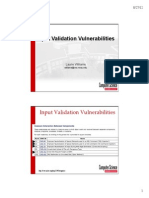 Input Validation Vulnerabilities