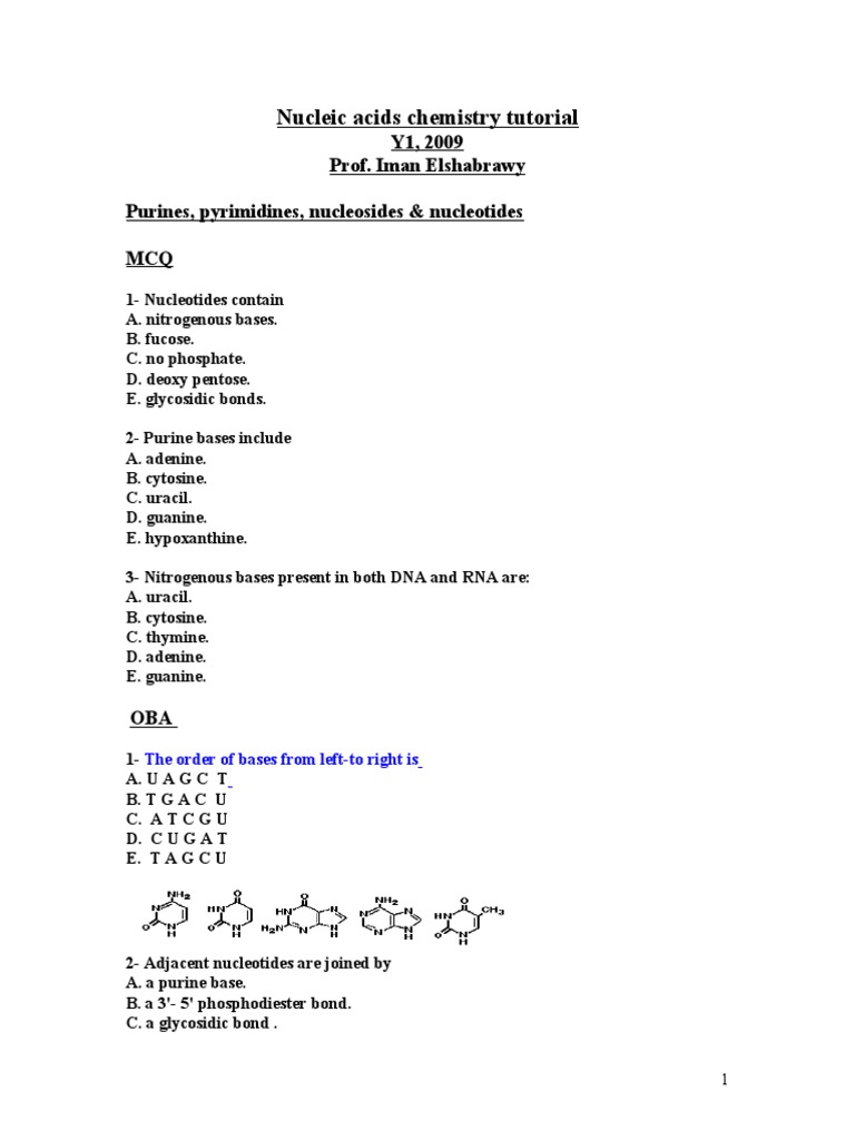 S Nucleic Acids Chemistry Tutorial Doc Nucleotides Rna