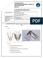 Entomologi Praktek 2 - Christine Destyara