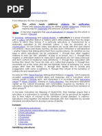 Download URBAN SUBCULTURESdoc by Paun Lucian Aurelian SN179161149 doc pdf