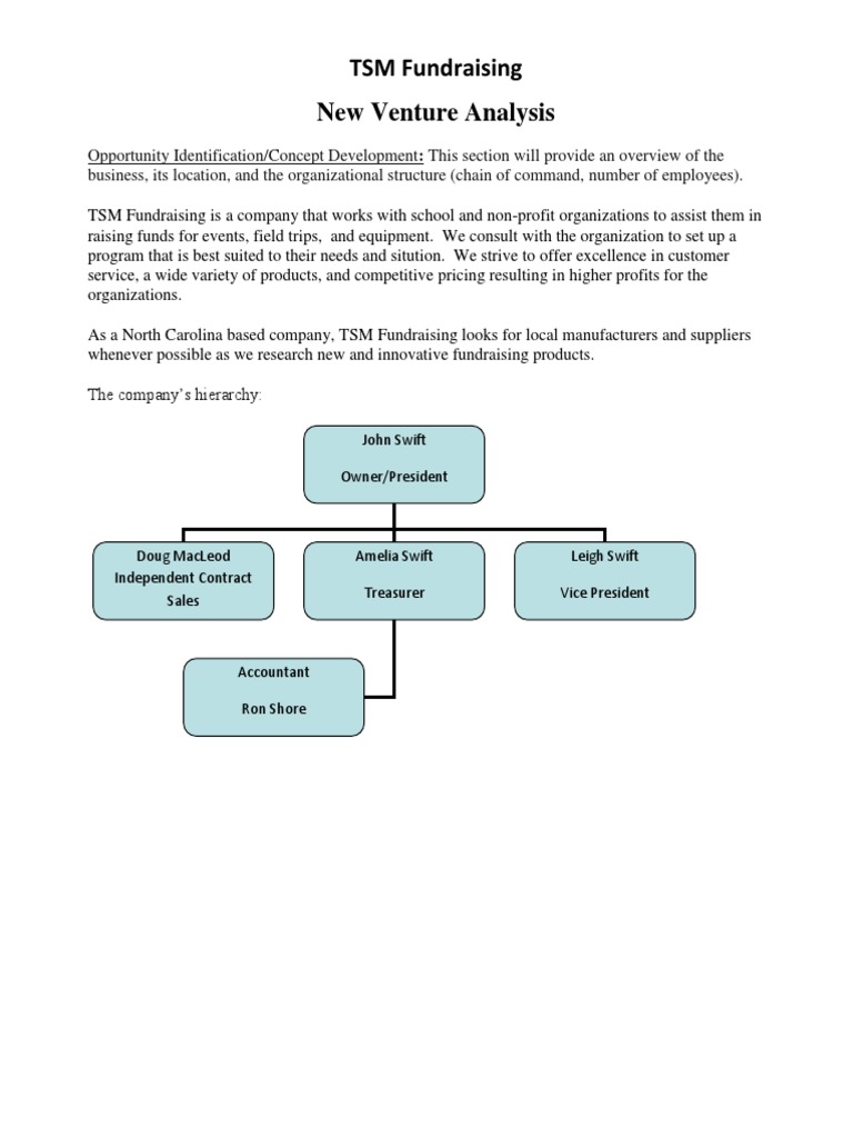 TSM Fundraising New Venture Analysis | PDF | Fundraising | Business