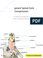 Malignant Spinal Cord Compression - Dealing The Most Common - Mets