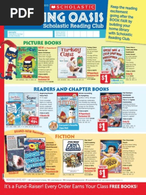 p 3 flyer