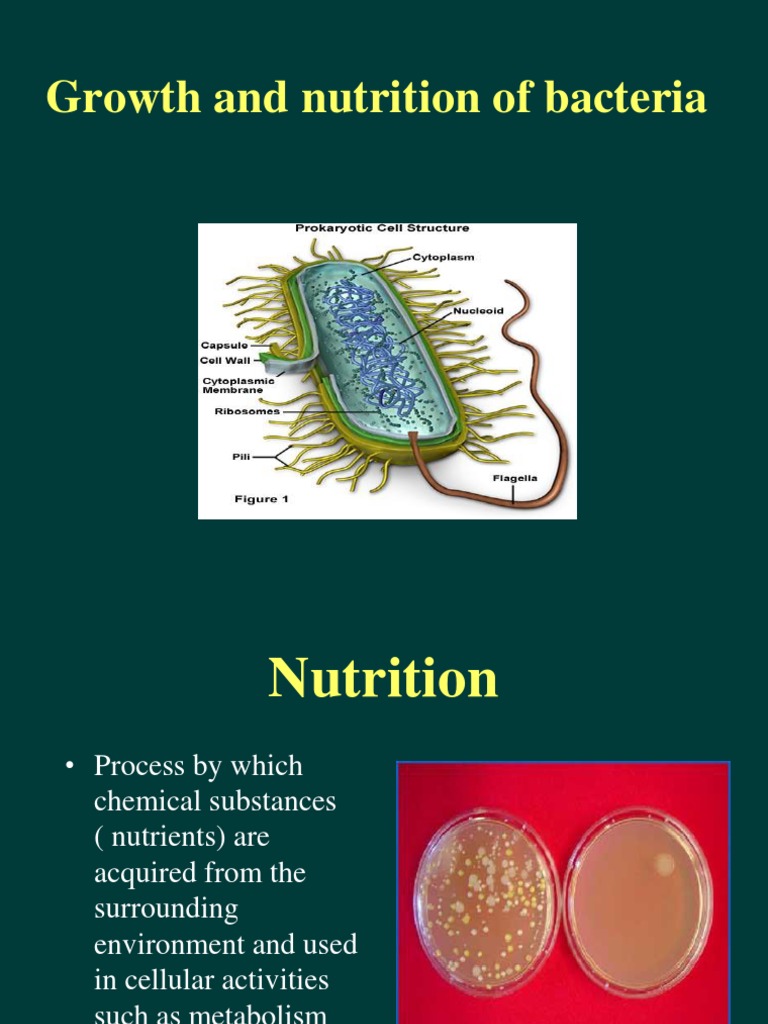 Bacterial Growth and Nutrition Overview | PDF | Bacteria | Metabolism