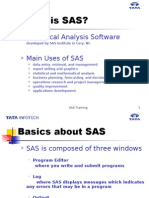What Is SAS PDF