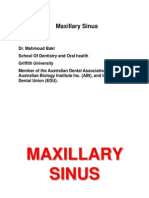 12- Maxillary Sinus (PRACTICAL)