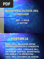 El Cerebro y La Toma de Decisiones Asociación Educar para El ...
