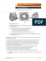 Ficha Trabalho 1