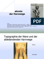 Harnwege.pdf