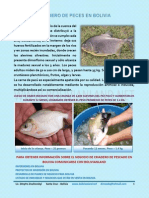 Proyecto Pacu Esp PDF