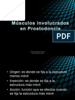 Musculosinvolucradosenprostodoncia 111106012231 Phpapp01