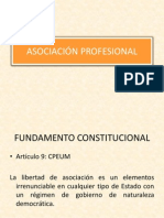 Asociación Profesional