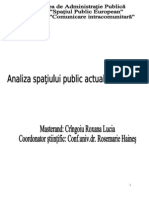 Analiza spatiului public in Romania word 2003.doc