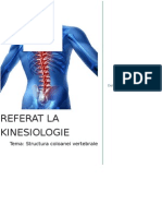 Structura Coloanei Vertebrale - Referat